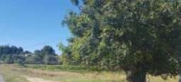 Urbano Solar en venta  en Calle Caada Real Colonia Tosal Ii Montserrat Valencia