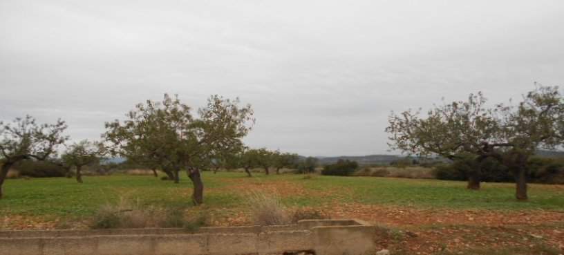 Otros en venta en RIBAVAQUES, SANT MATEU