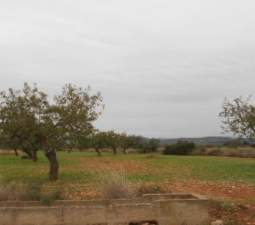 Otros en venta en RIBAVAQUES, SANT MATEU