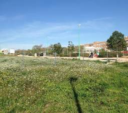 Urbanizable No Programado en venta  en Calle Benifaio, Picassent, Valencia