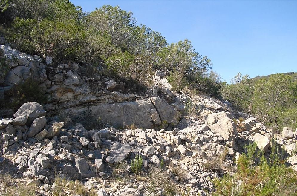 Suelo situado en Alcala de Xivert