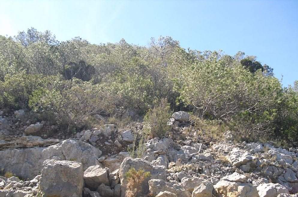 Suelo situado en Alcala de Xivert