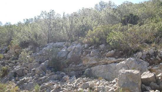 Suelo situado en Alcala de Xivert