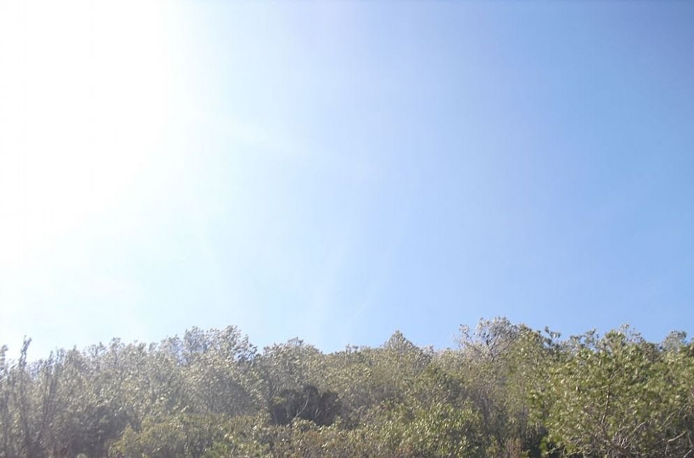 Suelo situado en Alcala de Xivert