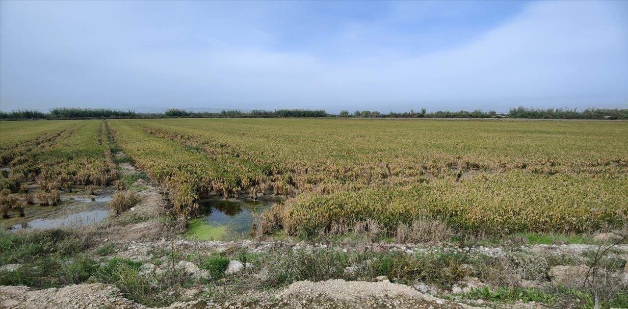 Se oferta finca rstica en calle bases partida huerto de torrente Sollana por 10000 con 2900m