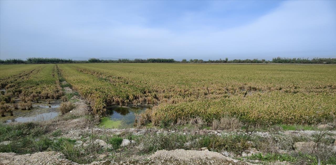Se oferta finca rstica en calle bases partida huerto de torrente Sollana por 10000 con 2900m