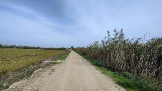 Se oferta finca rstica en calle bases partida huerto de torrente Sollana por 10000 con 2900m