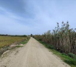 Se oferta finca rstica en calle bases partida huerto de torrente Sollana por 10000 con 2900m