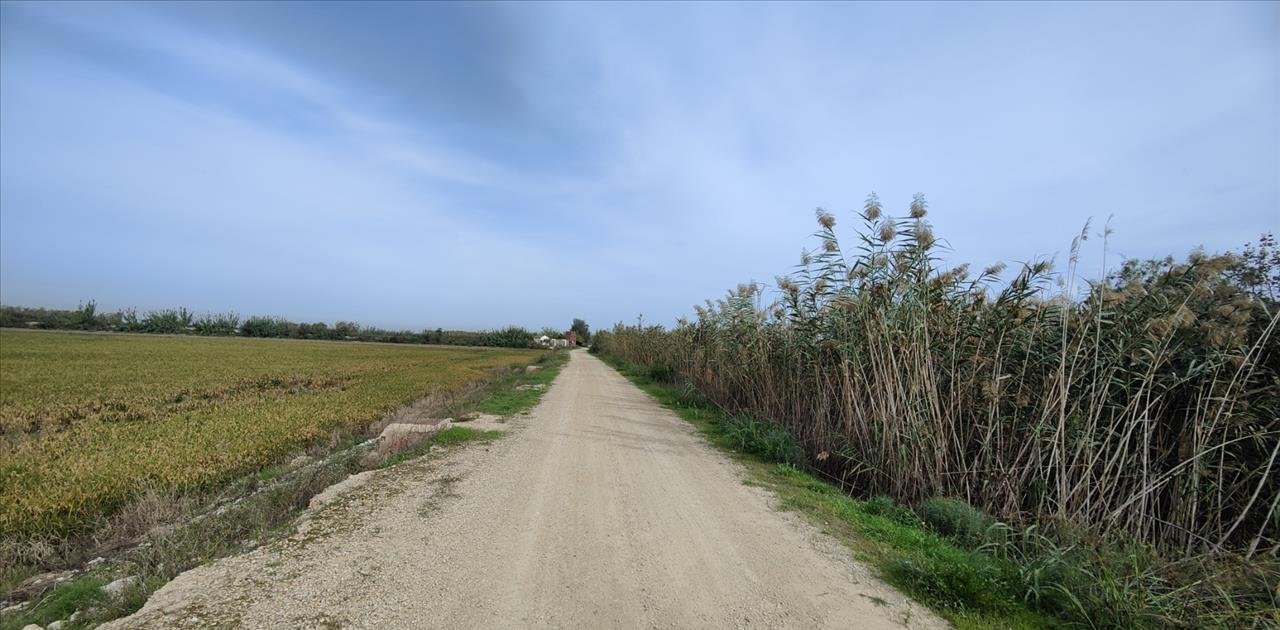 Se oferta finca rstica en calle bases partida huerto de torrente Sollana por 10000 con 2900m