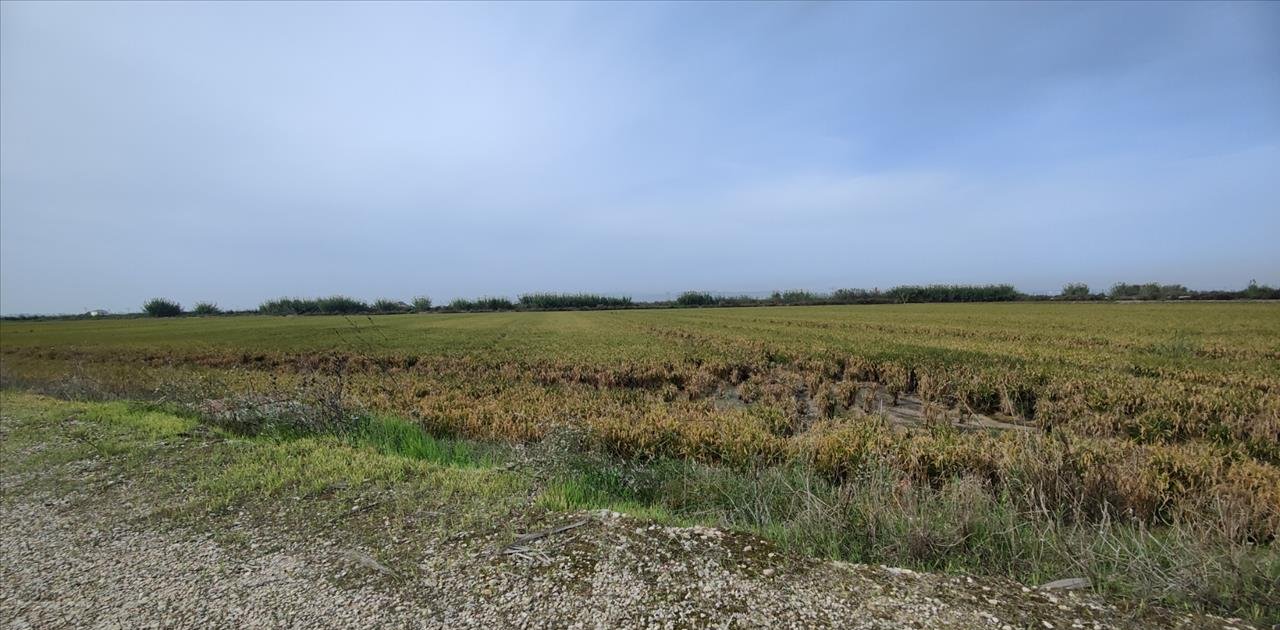 Se oferta finca rstica en calle bases partida huerto de torrente Sollana por 10000 con 2900m