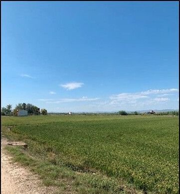 Se oferta finca rstica en calle bases partida huerto de torrente Sollana por 10000 con 2900m