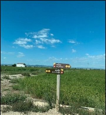 Se oferta finca rstica en calle bases partida huerto de torrente Sollana por 10000 con 2900m