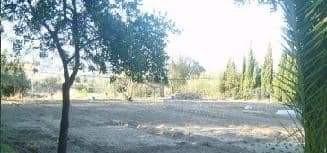 No Urbanizable (Rústico) en venta  en Avenida Del Llombo, Ontinyent, Valencia
