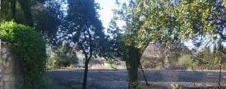 No Urbanizable (Rústico) en venta  en Avenida Del Llombo, Ontinyent, Valencia