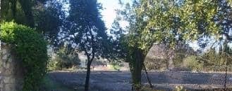 No Urbanizable (Rústico) en venta  en Avenida Del Llombo, Ontinyent, Valencia