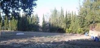 No Urbanizable (Rústico) en venta  en Avenida Del Llombo, Ontinyent, Valencia