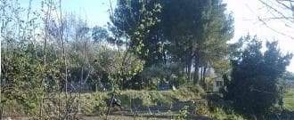 No Urbanizable (Rústico) en venta  en Avenida Del Llombo, Ontinyent, Valencia