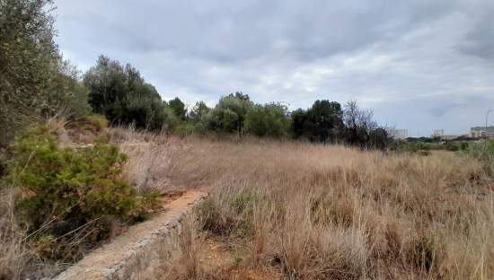 Finca Rústica En Venta En Pontazgopolig 6 Parc 143 264, Benicasimbenic?ssim