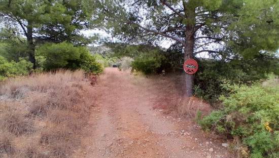 Finca Rústica En Venta En Pontazgopolig 6 Parc 143 264, Benicasimbenic?ssim