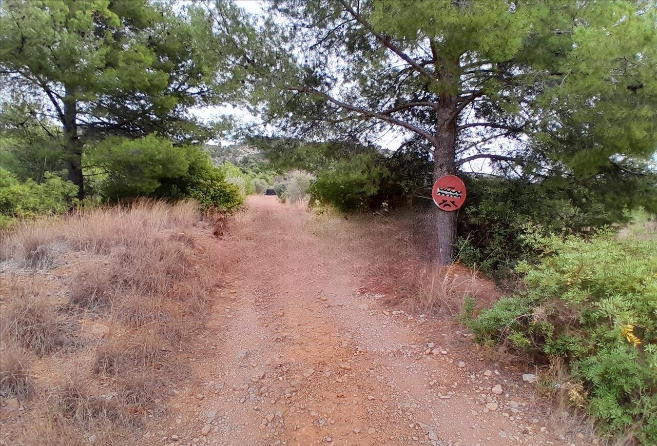 Finca Rústica En Venta En Pontazgopolig 6 Parc 143 264, Benicasimbenic?ssim
