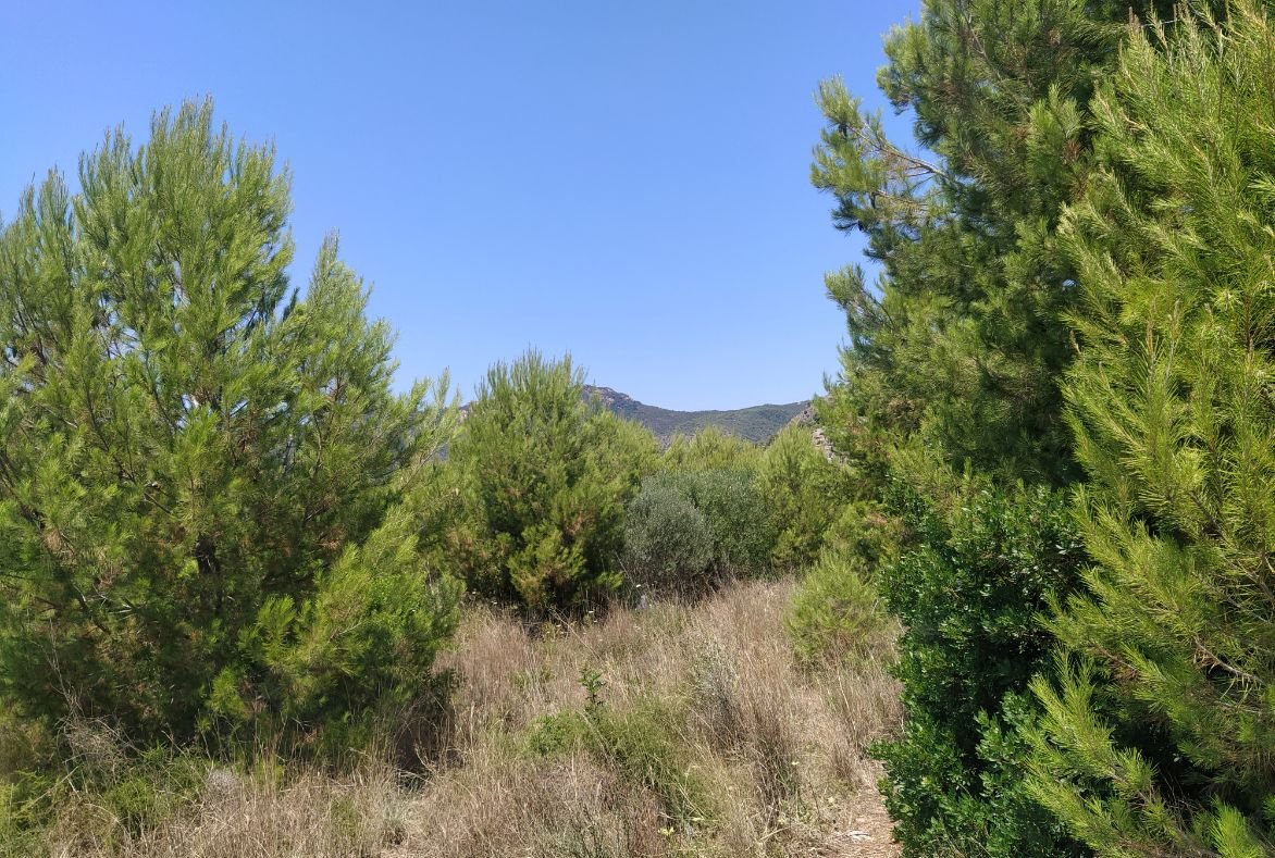 Finca Rústica En Venta En Pontazgopolig 6 Parc 143 264, Benicasimbenic?ssim