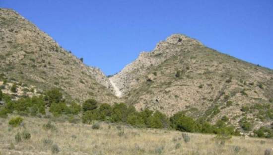 Suelo Rstico No Urbanizable en venta en Partida Palomarets Els Petrer Alicante