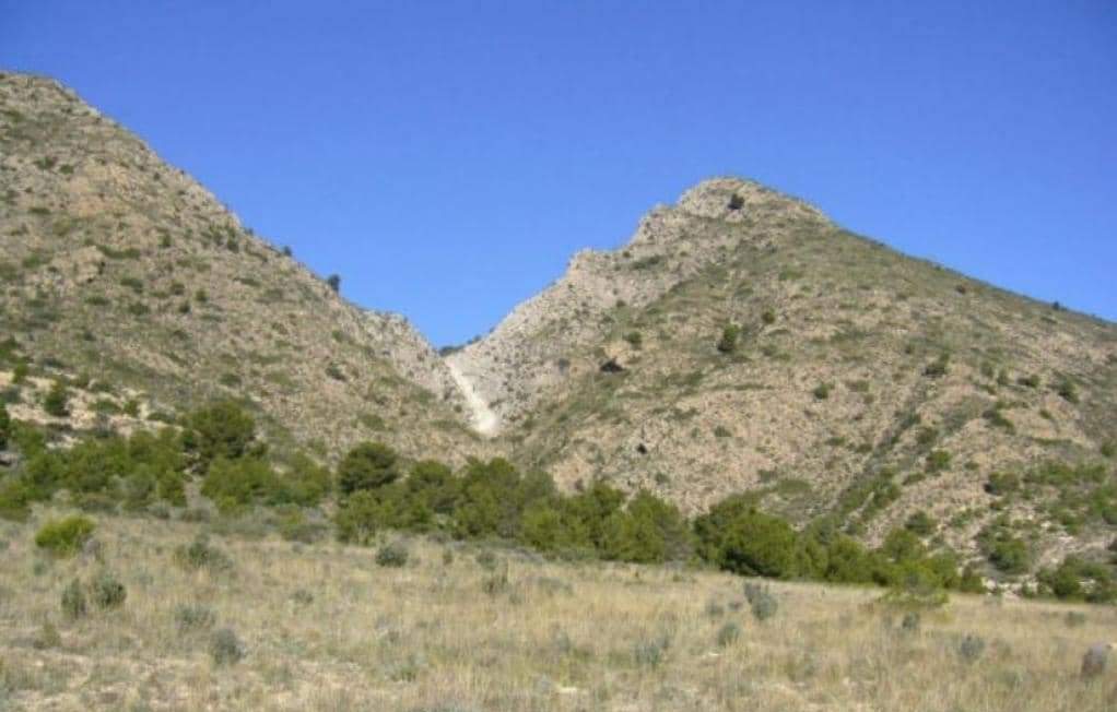 Suelo Rstico No Urbanizable en venta en Partida Palomarets Els Petrer Alicante