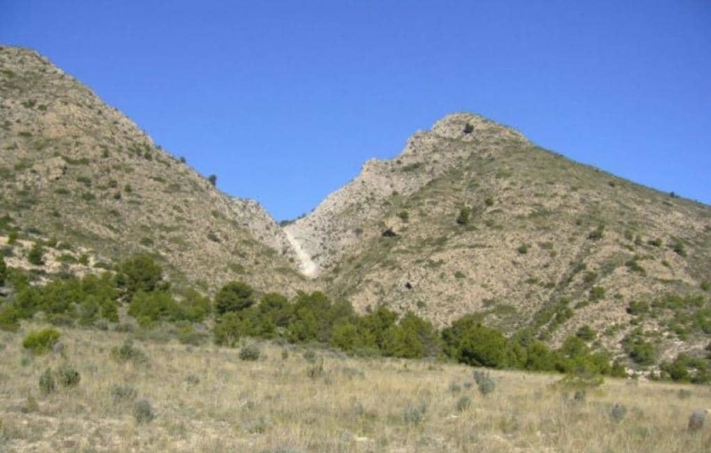 Suelo Rstico No Urbanizable en venta en Partida Palomarets Els Petrer Alicante