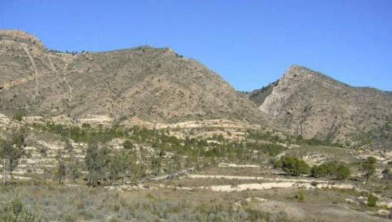 Suelo Rstico No Urbanizable en venta en Partida Palomarets Els Petrer Alicante