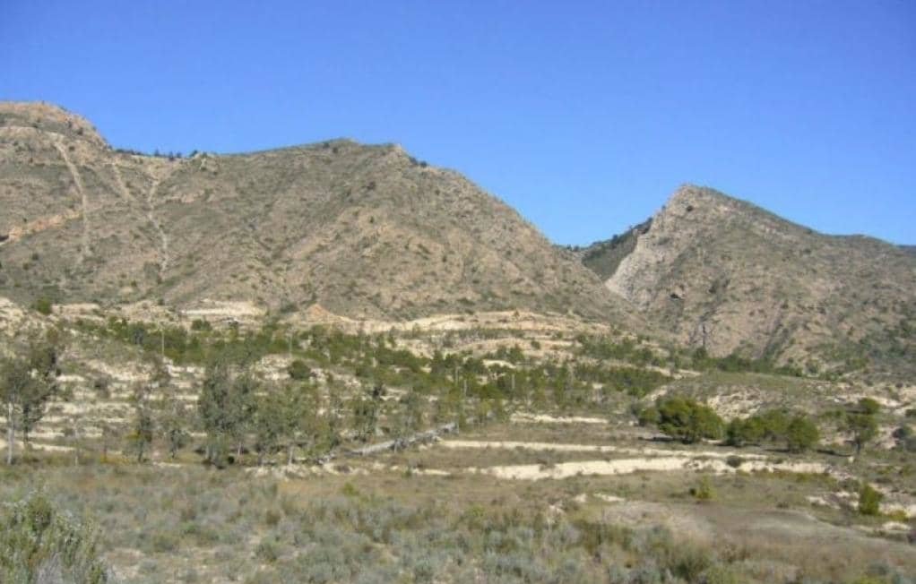 Suelo Rstico No Urbanizable en venta en Partida Palomarets Els Petrer Alicante