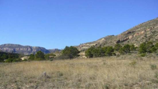 Suelo Rstico No Urbanizable en venta en Partida Palomarets Els Petrer Alicante
