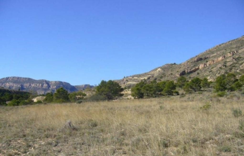 Suelo Rstico No Urbanizable en venta en Partida Palomarets Els Petrer Alicante