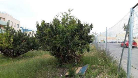 Terreno Urbano en venta en Almenara, Castellón