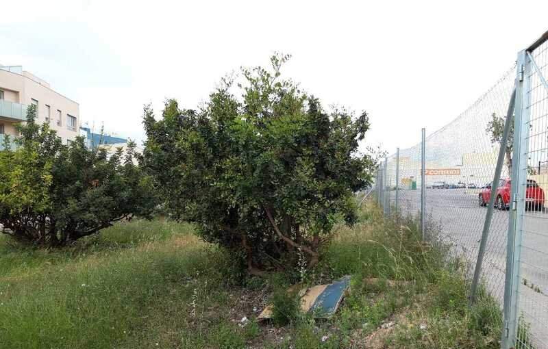 Terreno Urbano en venta en Almenara, Castellón