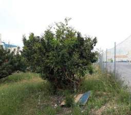 Terreno Urbano en venta en Almenara, Castellón