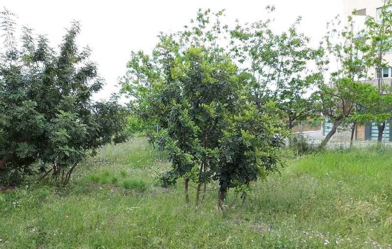 Terreno Urbano en venta en Almenara, Castellón