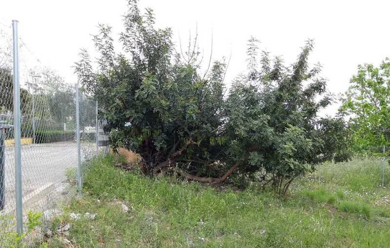 Terreno Urbano en venta en Almenara, Castellón