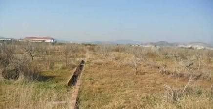 Suelo otros ChilchesXilxes