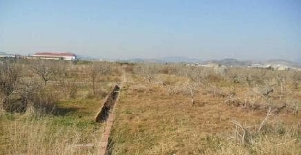 Suelo otros ChilchesXilxes