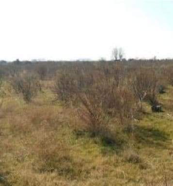 Suelo otros ChilchesXilxes