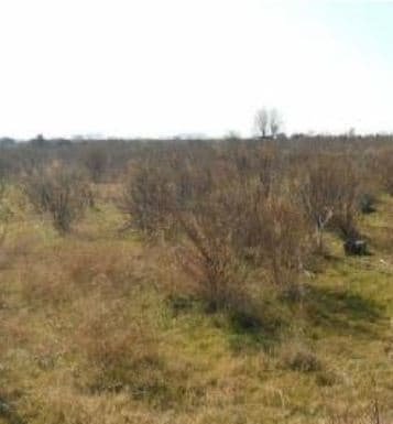 Suelo otros ChilchesXilxes