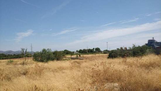 Urbanizable Programado en venta  en Calle R 17 Btera Valencia