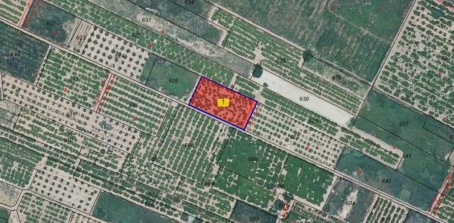 Solar en venta en Calle Semenat Y Seits Partida Aceit Pol 25 Parc 627, Bajo, 12520, Nules Castellón