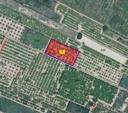 Solar en venta en Calle Semenat Y Seits Partida Aceit Pol 25 Parc 627, Bajo, 12520, Nules Castellón