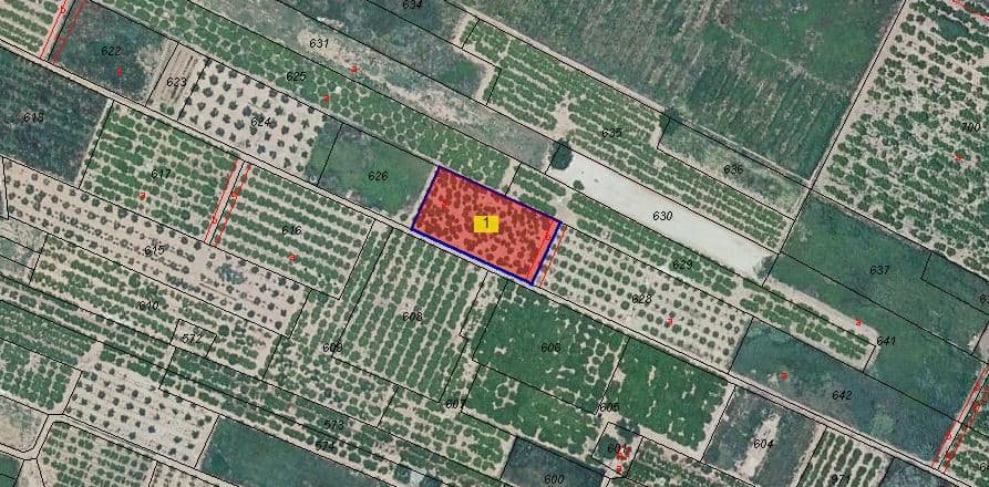 Solar en venta en Calle Semenat Y Seits Partida Aceit Pol 25 Parc 627, Bajo, 12520, Nules Castellón