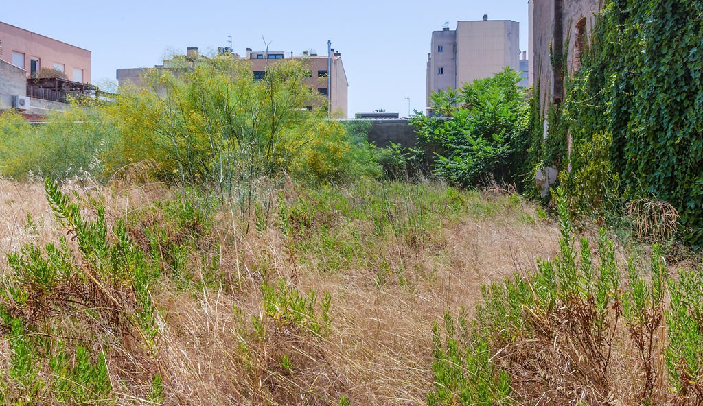 Suelo urbano consolidado en C Port - Benicarló -