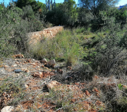 Terreno Urbano en venta en Alcalá De Chivert, Castellón