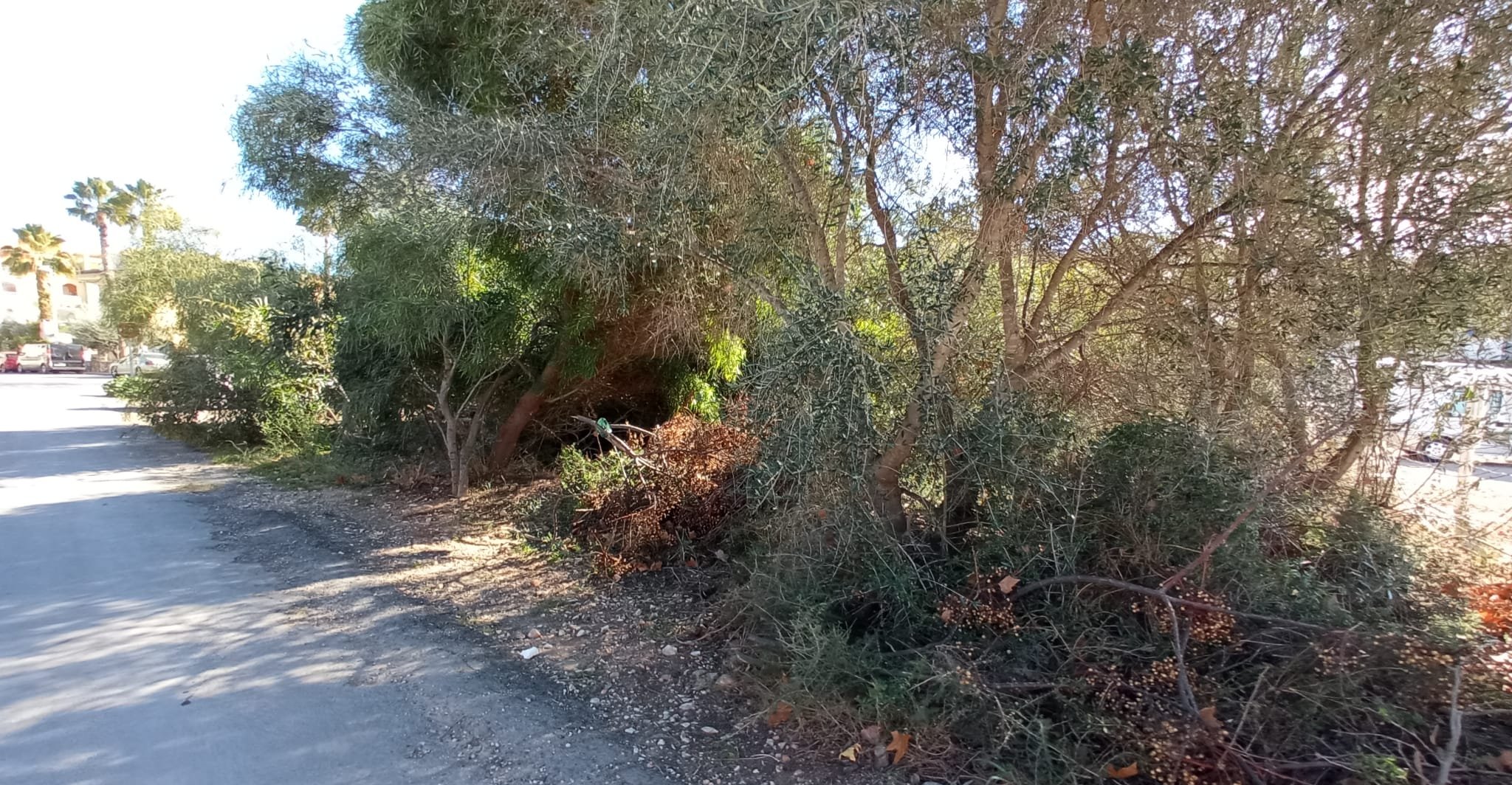 Terreno Urbano en venta en Alcalá De Chivert, Castellón