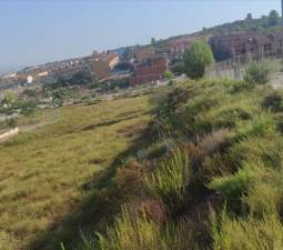 Urbanizable Programado en venta  en Calle Xilxes, Cabanes, Castellón