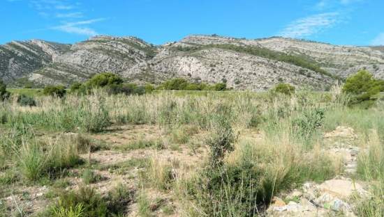 Descubre finca rstica por 36500 de 10630m en c5 parcela coniller Oropesa del MarOrpesa